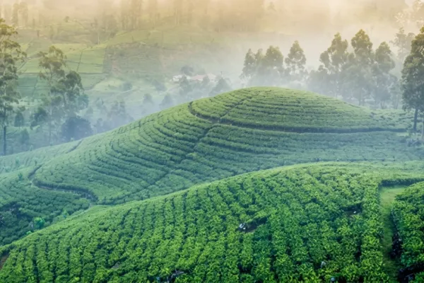 Best of Sri Lanka