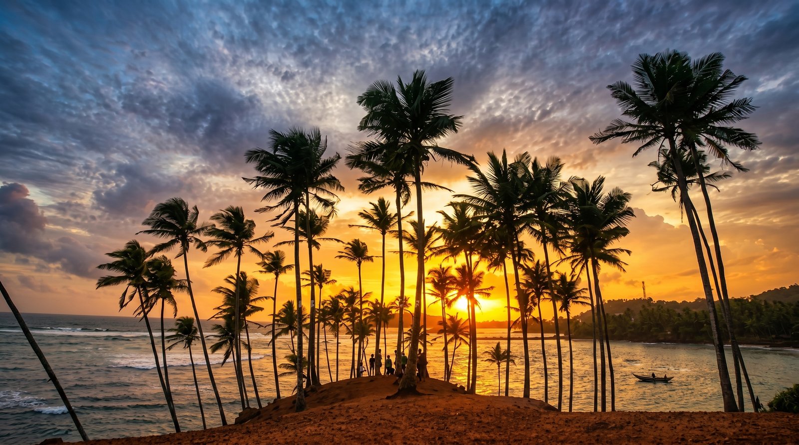 Coconut Tree Hill
