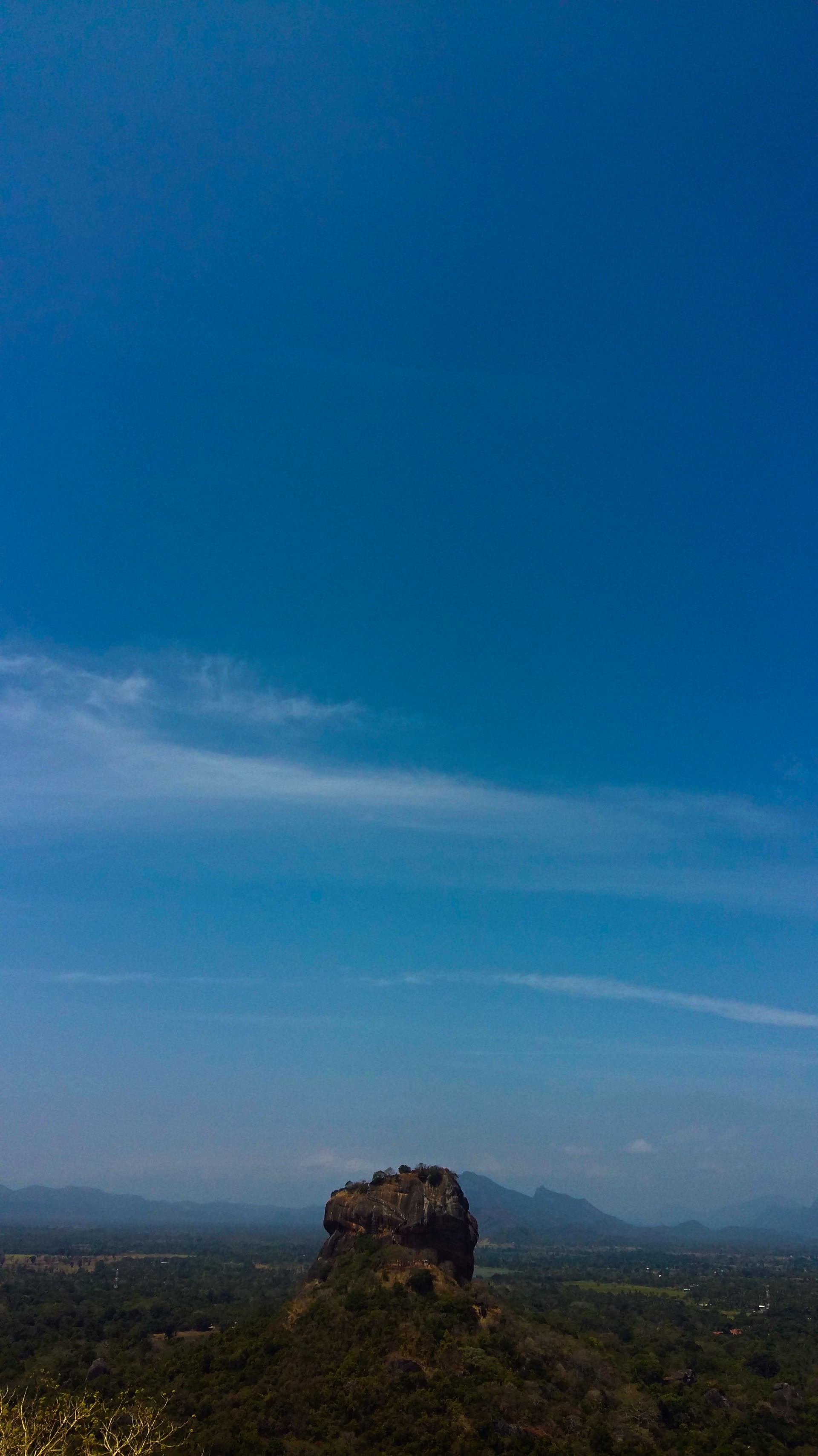 Whale watching