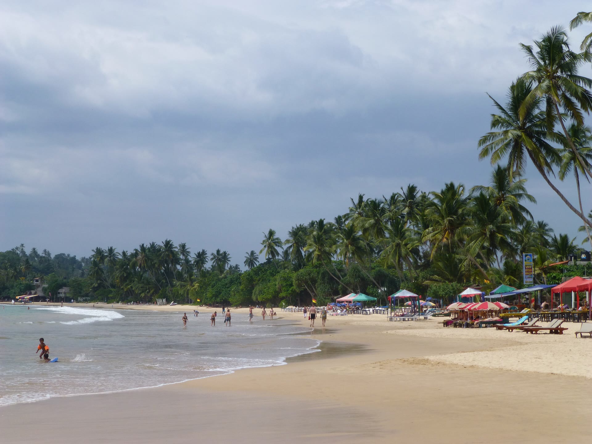 Coconut Tree Hill